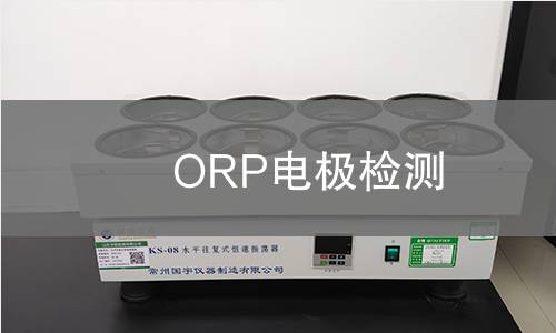 ORP电极检测,ORP电极检测机构,ORP电极检测报告,中析检测中心