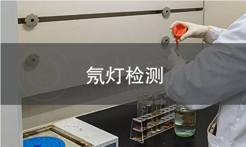 氖灯检测