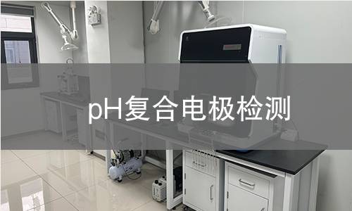 pH复合电极检测,pH复合电极检测机构,pH复合电极检测
