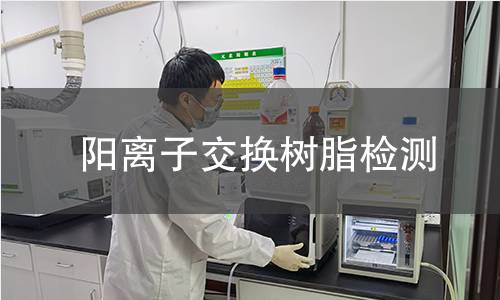 阳离子交换树脂检测,阳离子交换树脂检测机构,阳离子交换树脂检测报告,北京中科光析科学技术研究所检测中心