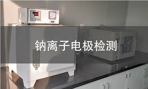 钠离子电极检测
