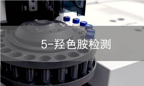 5-羟色胺检测