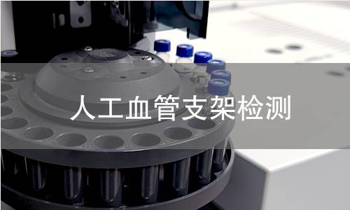 人工血管支架检测