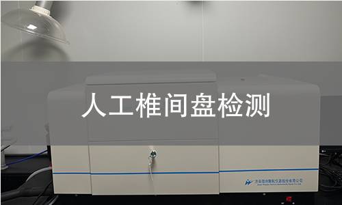 人工椎间盘检测