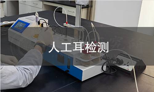 人工耳检测