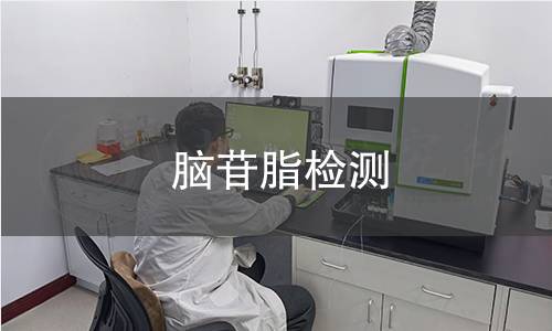 脑苷脂检测