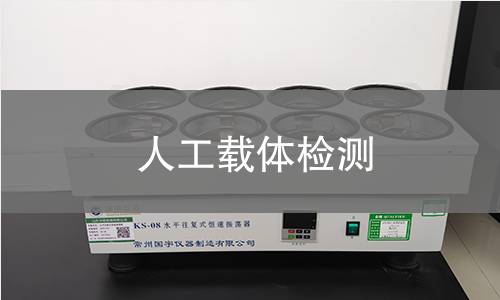 人工载体检测