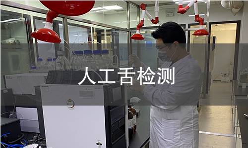人工舌检测