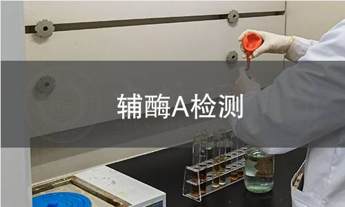 辅酶A检测