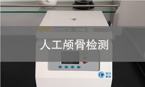 人工颅骨检测