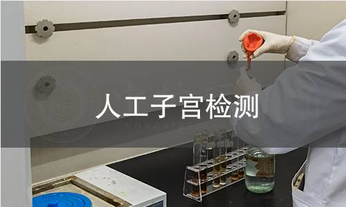 人工子宫检测