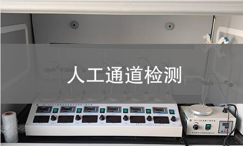 人工通道检测