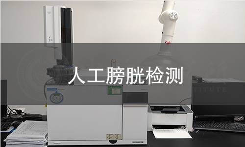人工膀胱检测