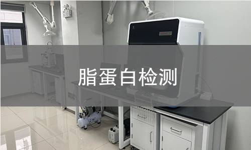 脂蛋白检测