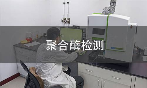 聚合酶检测,聚合酶检测机构,聚合酶检测报告,北京中科光析科学技术研究所检测中心