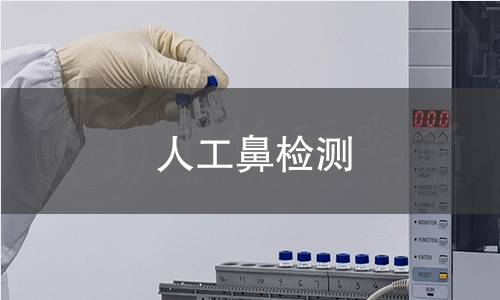 人工鼻检测