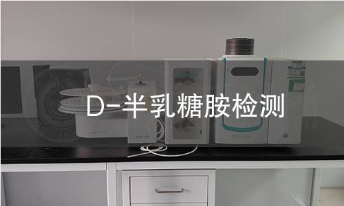 D-半乳糖胺检测,D-半乳糖胺检测机构,D-半乳糖胺检测报告,中析检测中心