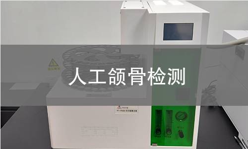 人工颌骨检测