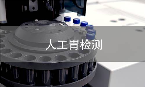人工胃检测