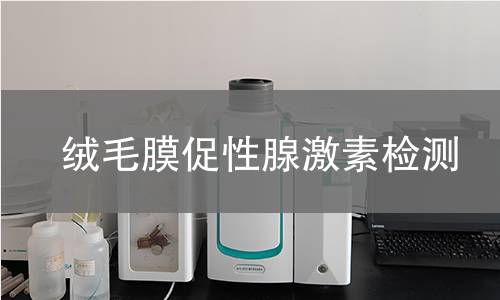 绒毛膜促性腺激素检测