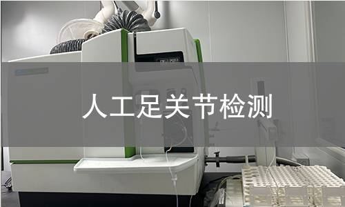人工足关节检测
