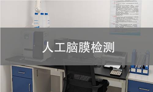人工脑膜检测