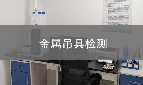 金属吊具检测,金属吊具检测机构,金属吊具适用范围