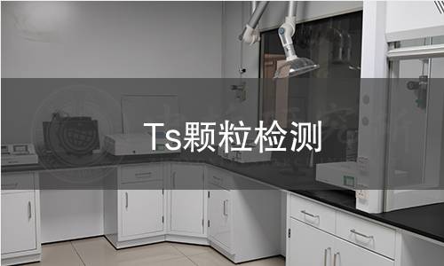 Ts颗粒检测,Ts颗粒检测机构,Ts颗粒检测报告,北京中科光析科学技术研究所检测中心