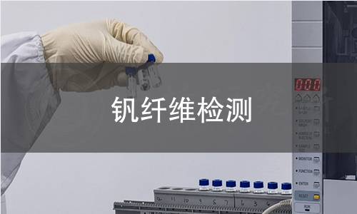 钒纤维检测,钒纤维检测机构,钒纤维检测报告,北京中科光析科学技术研究所检测中心