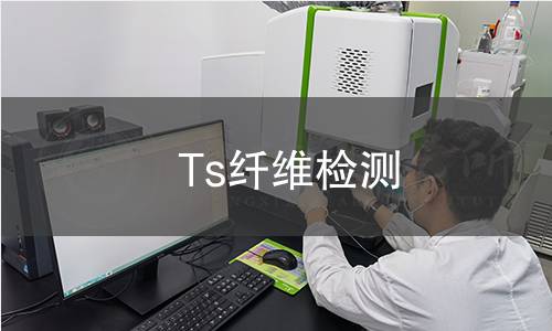 Ts纤维检测,Ts纤维检测机构,Ts纤维检测报告,中析研究所检测中心