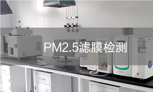 PM2.5滤膜检测