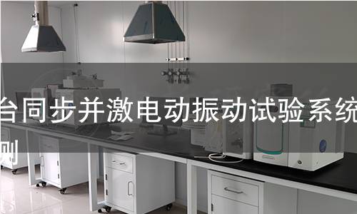 双台同步并激电动振动试验系统检测