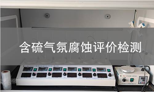 含硫气氛腐蚀评价检测