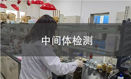 中间体检测,中间体检测机构,中间体纯度检测
