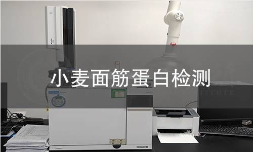 小麦面筋蛋白检测