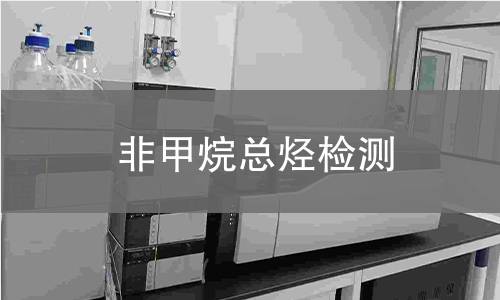 非甲烷总烃检测,非甲烷总烃检测机构,非甲烷总烃环境监测指标