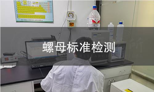 螺母标准检测