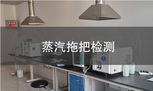 蒸汽拖把检测