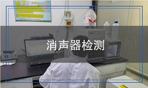 消声器检测