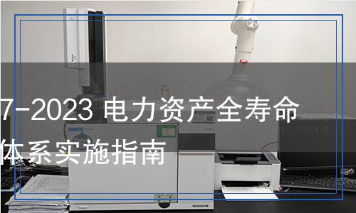 DL/T 2667-2023 电力资产全寿命周期管理体系实施指南