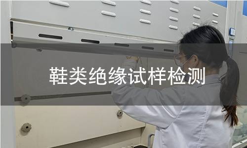 鞋类绝缘试样检测,鞋类绝缘试样检测机构,鞋类绝缘试样检测报告,中析研究所检测中心