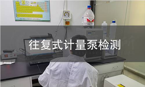 往复式计量泵检测