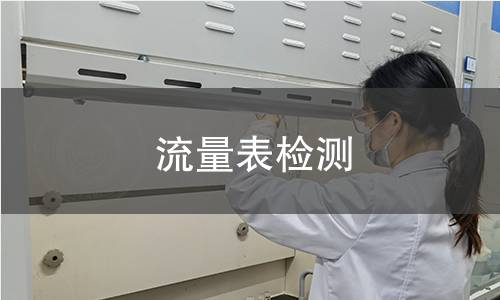 流量表检测