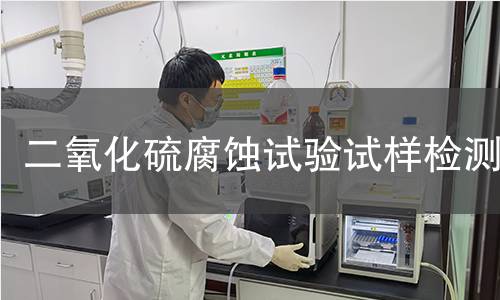 二氧化硫腐蚀试验试样,二氧化硫腐蚀试验试样机构,二氧化硫腐蚀试验试样报告,中析研究所检测中心