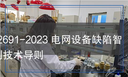 DL/T 2691-2023 电网设备缺陷智能识别技术导则