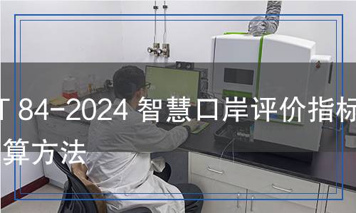 HS/T 84-2024 智慧口岸评价指标及计算方法