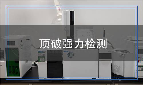 顶破强力检测,顶破强力检测报告