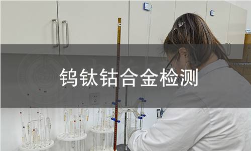 钨钛钴合金检测
