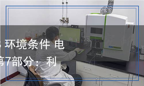 GB/Z 41305.7-2023 环境条件 电子设备振动和冲击 第7部分：利用旋翼飞机运输