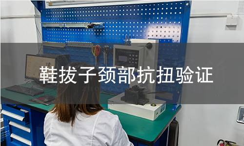 鞋拔子颈部抗扭验证